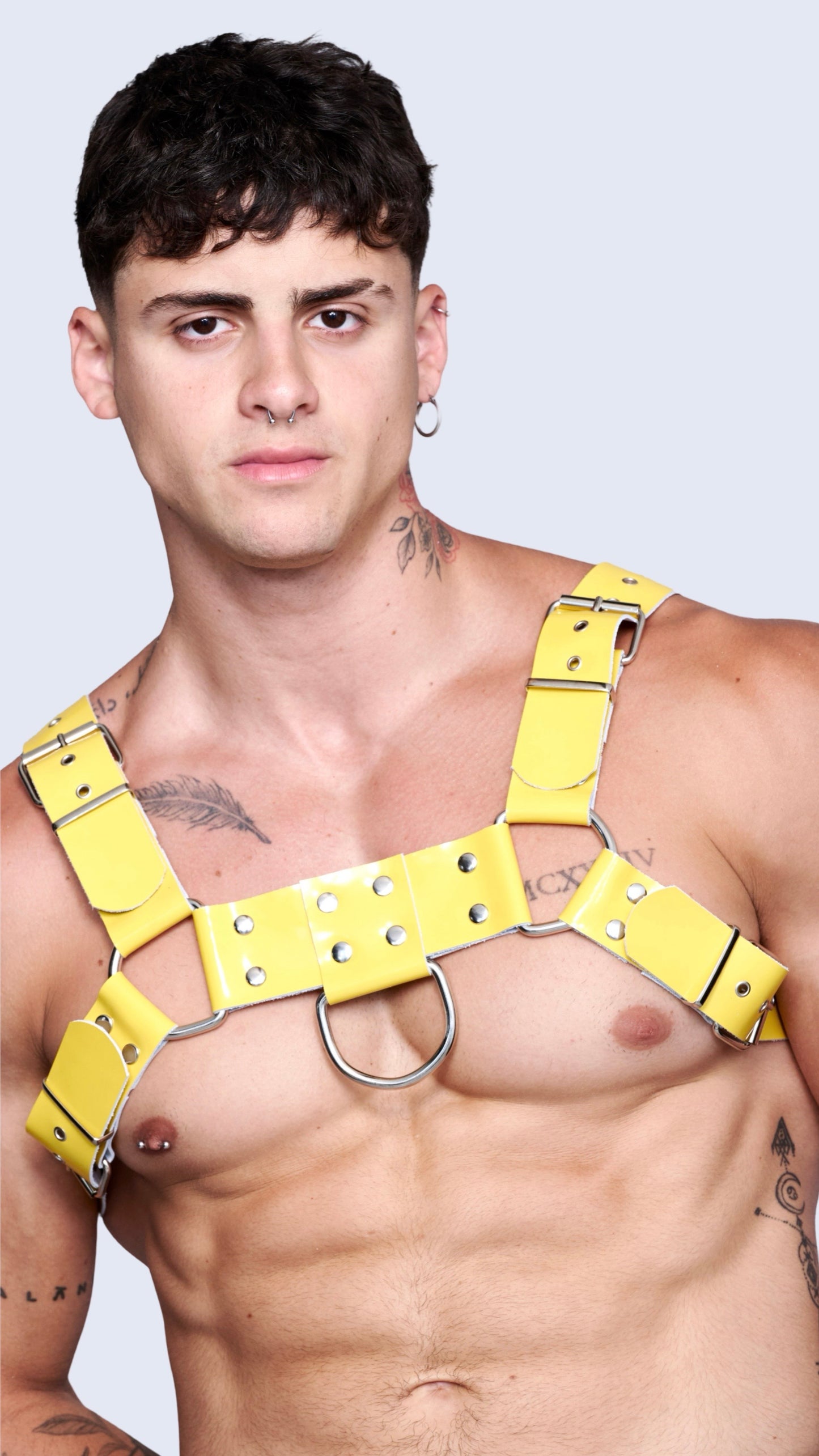 YELLOW H CHAROL HARNESS