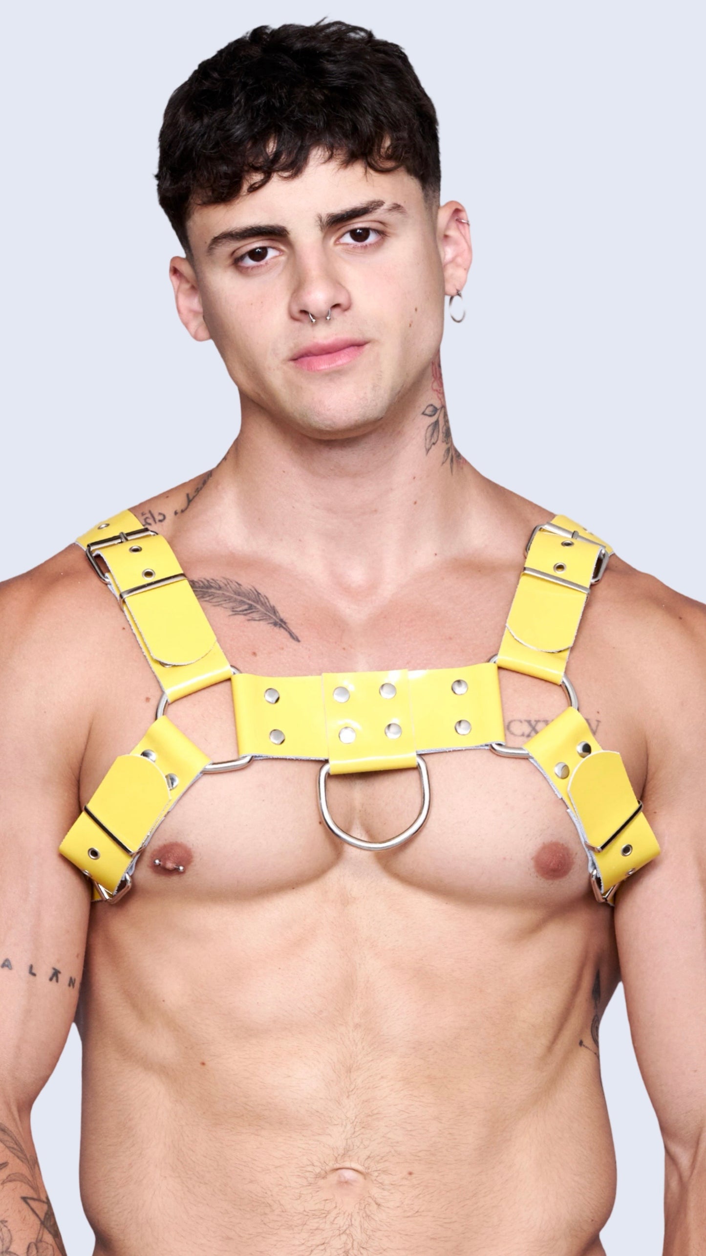 YELLOW H CHAROL HARNESS