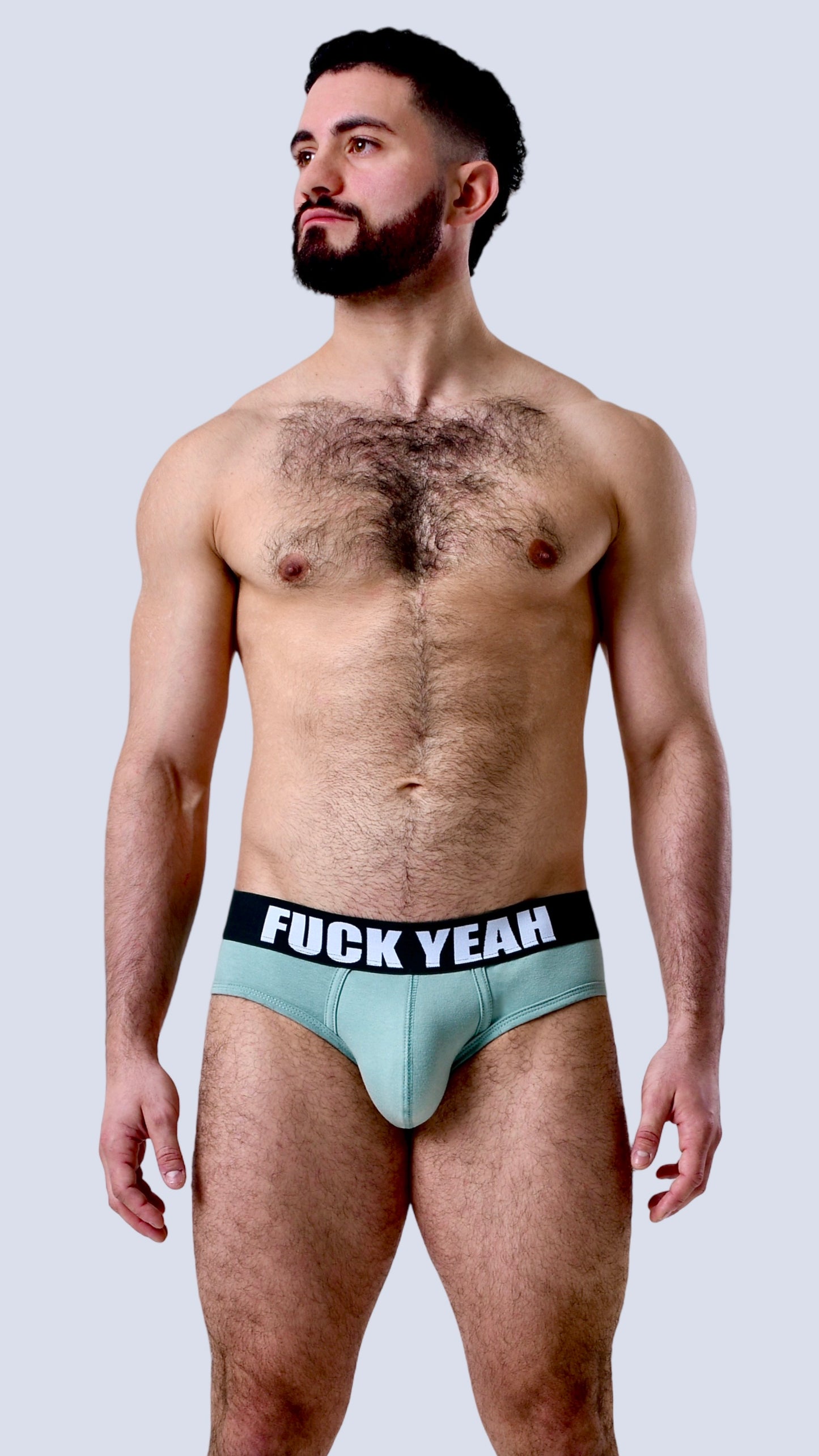 FRESH MINT ORIGINAL BRIEF