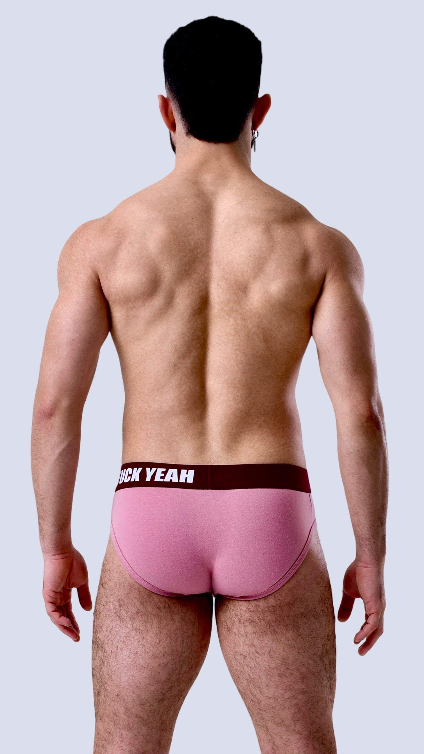 BOYSENBERRY ORIGINAL BRIEF
