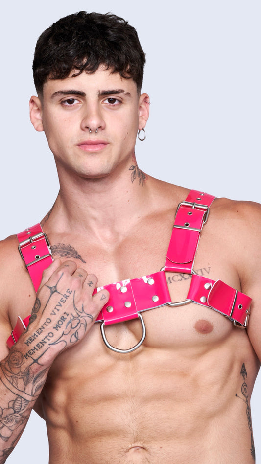 FUCHSIA H CHAROL HARNESS