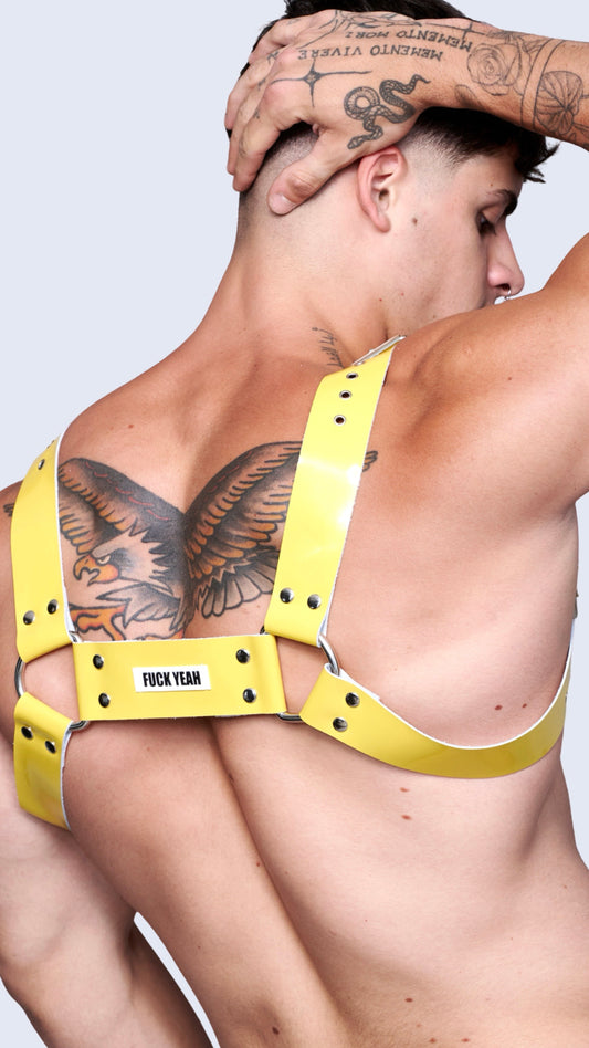YELLOW H CHAROL HARNESS