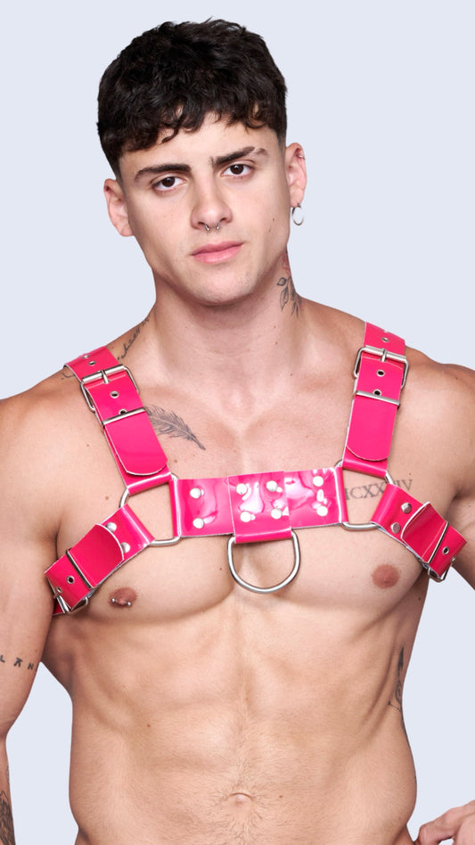 FUCHSIA H CHAROL HARNESS