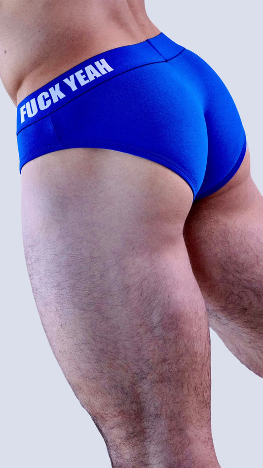 BLUE ORIGINAL BRIEF
