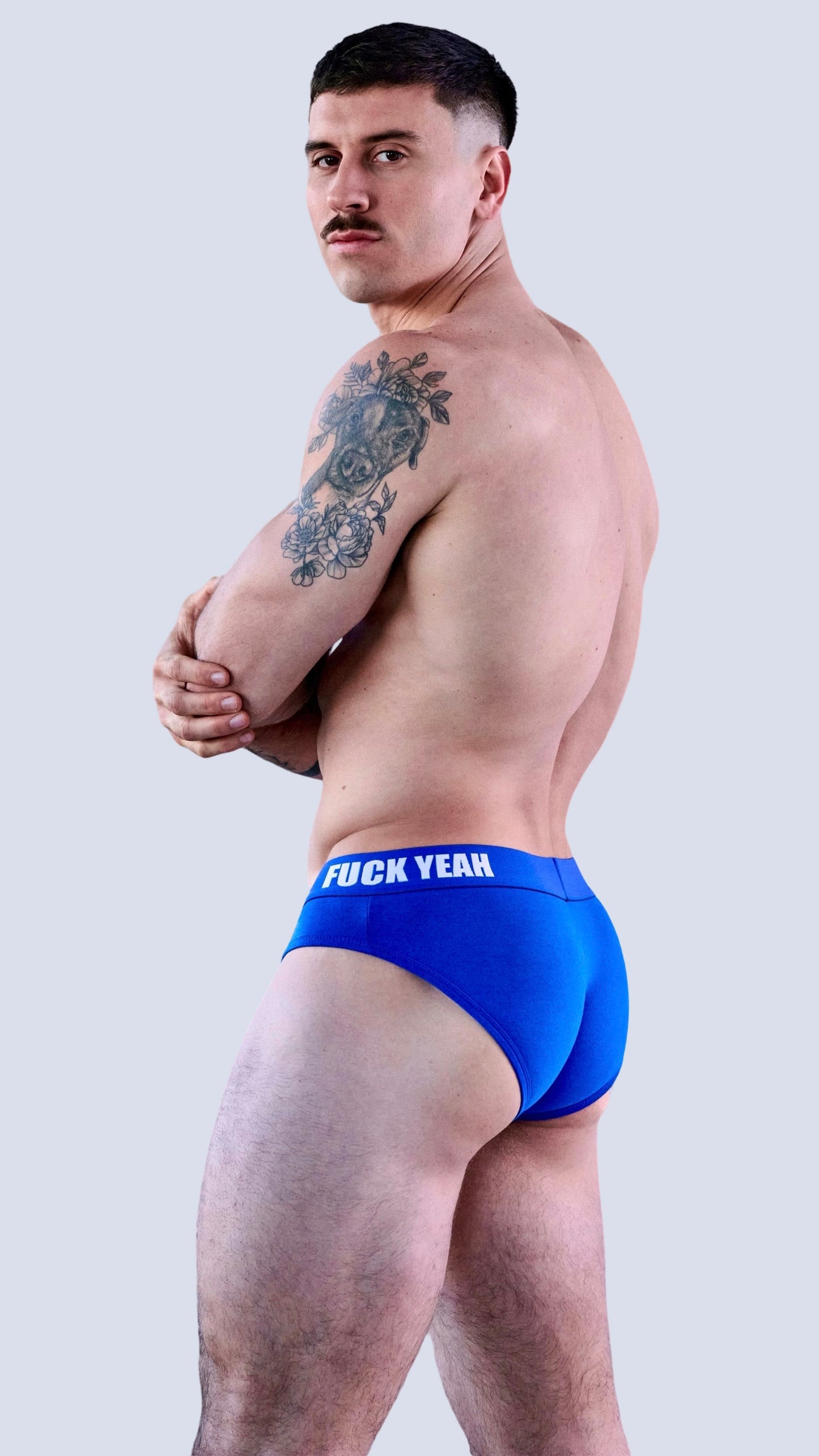 BLUE ORIGINAL BRIEF