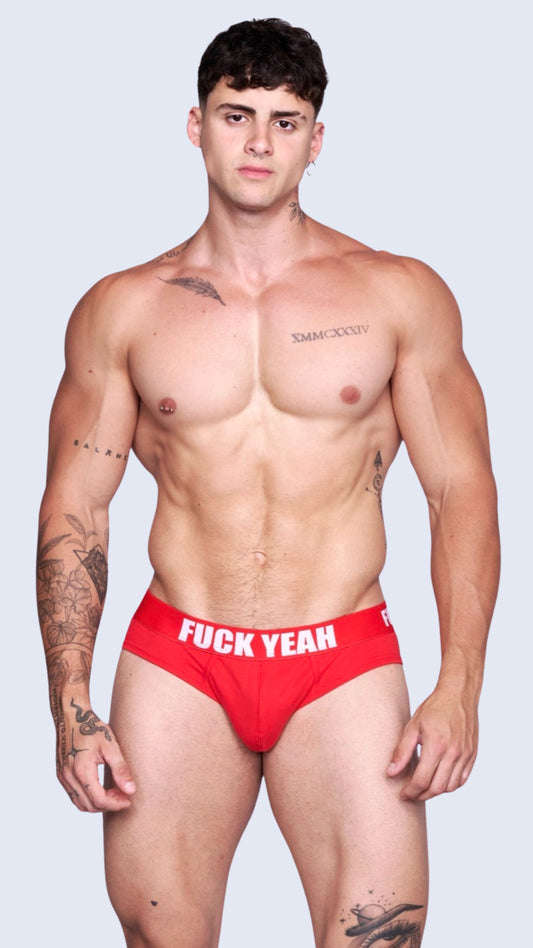 RED ORIGINAL BRIEF