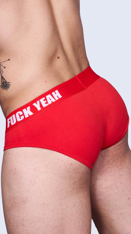 RED ORIGINAL BRIEF