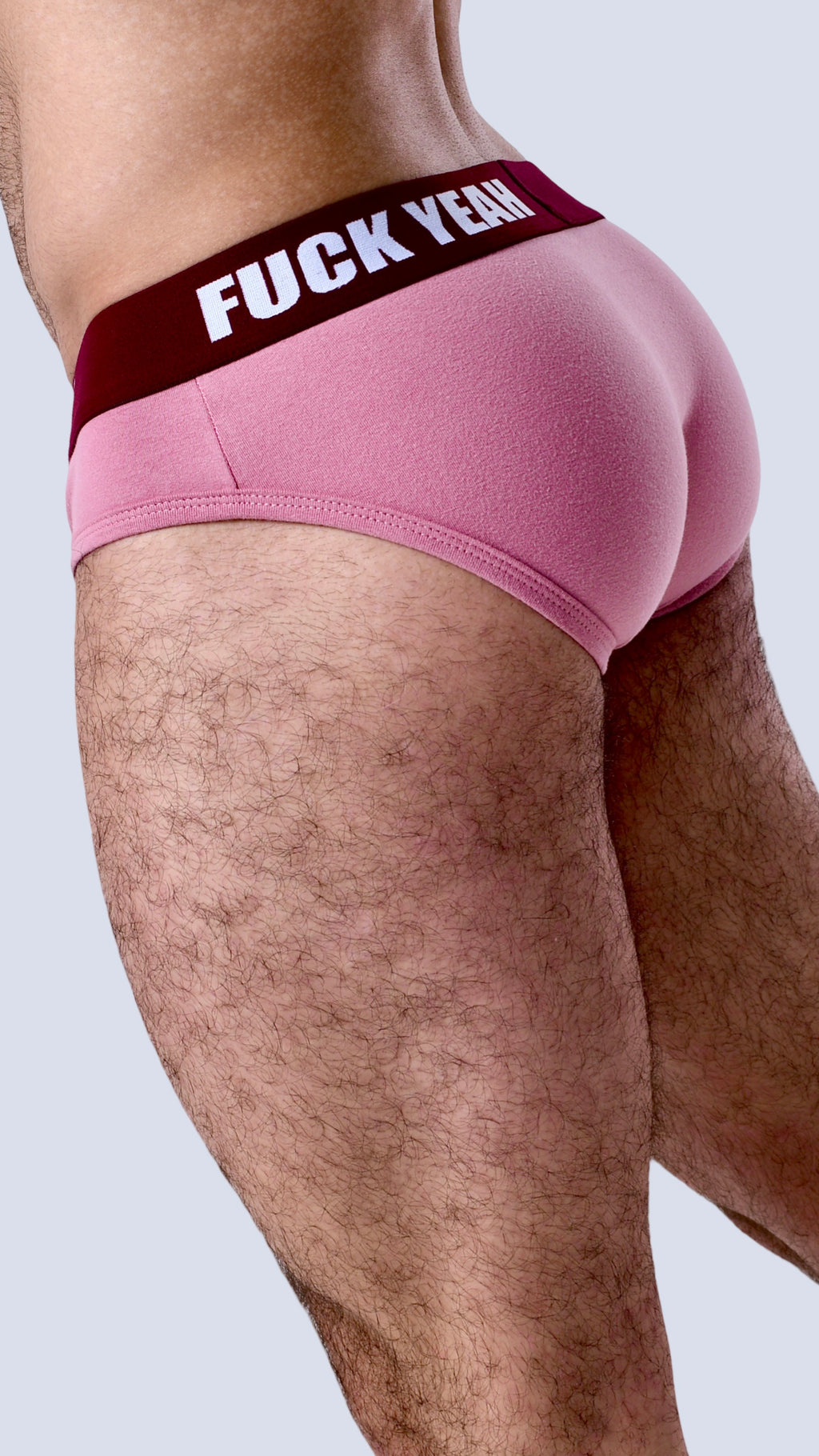 BOYSENBERRY ORIGINAL BRIEF