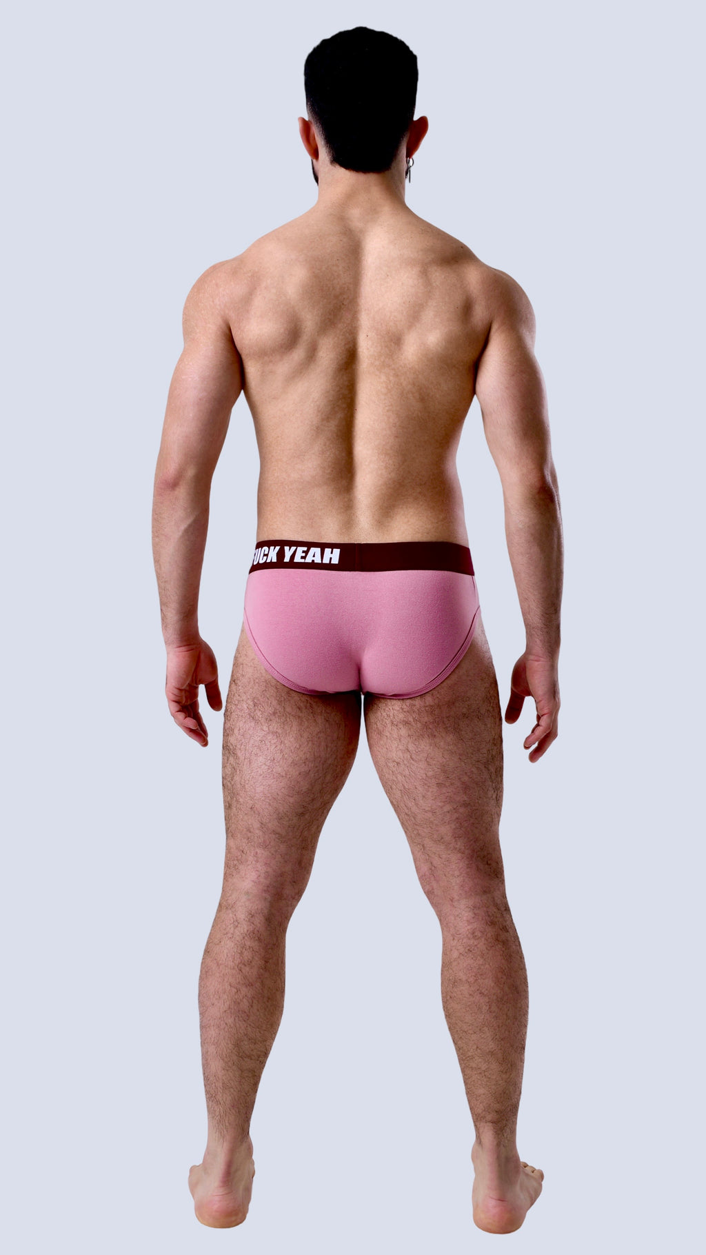 BOYSENBERRY ORIGINAL BRIEF