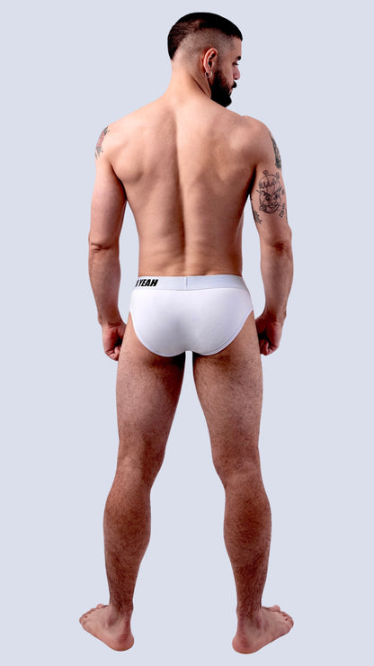 WHITE ORIGINAL BRIEF